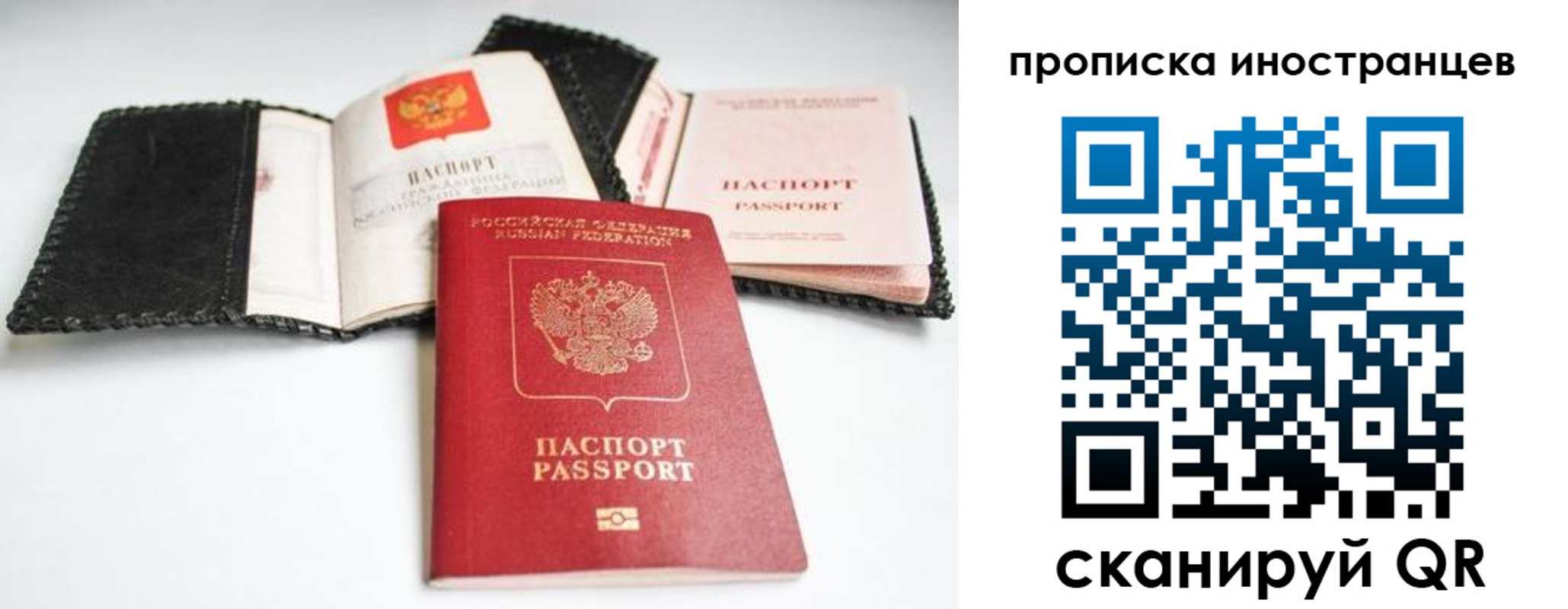 прописка паспорт в Борзе